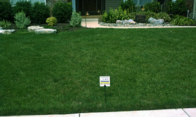 Front Lawn