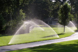 Professional Irrigation in St. Louis