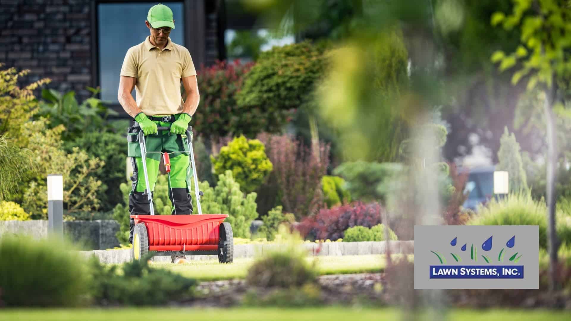 Person Fertilizing yard