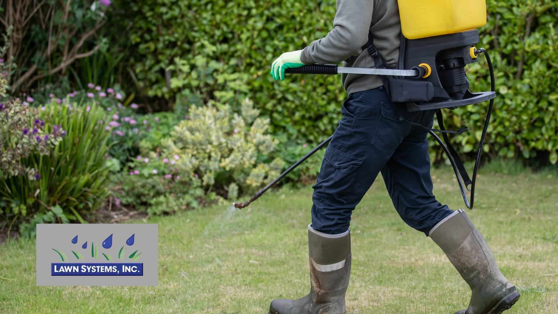 Person spraying herbicide