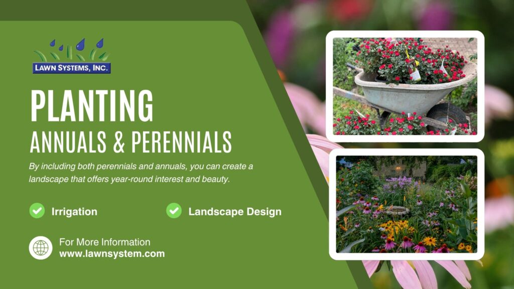 Planting annuals and perennials