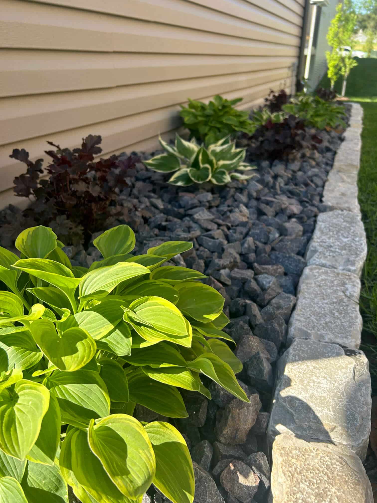 Decorative rock with hostas and stone border