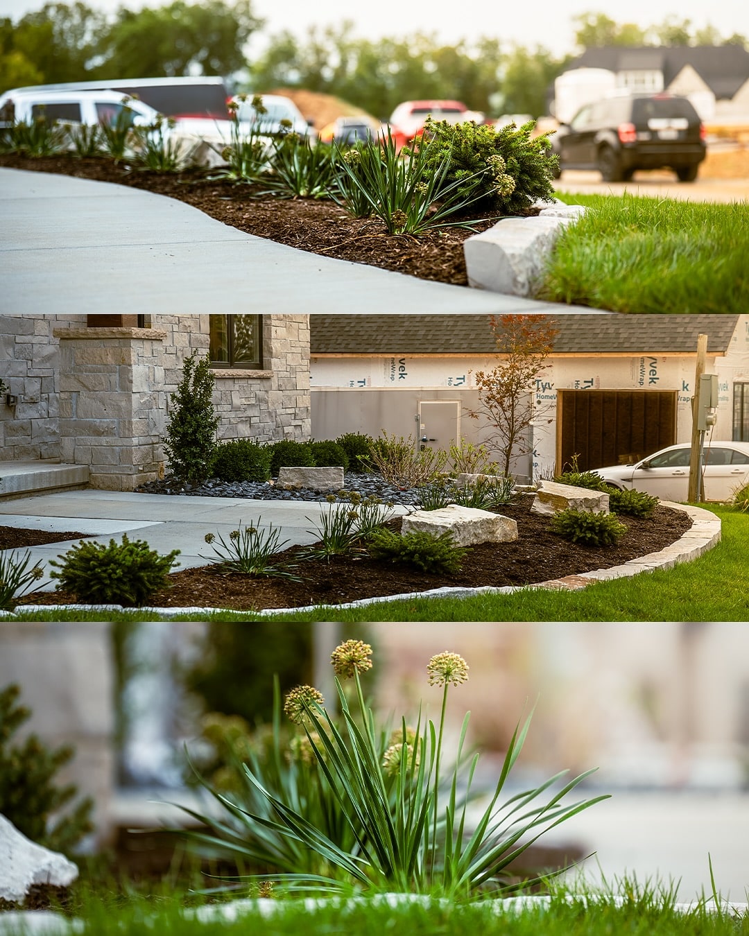 New landscaping in new construction